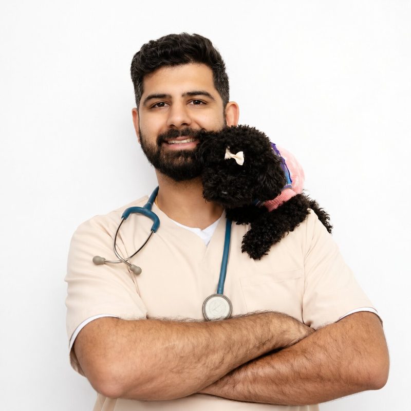 Dr. Harvandeep Shergill, veterinarian and co-owner at Vic West Pet Hospital