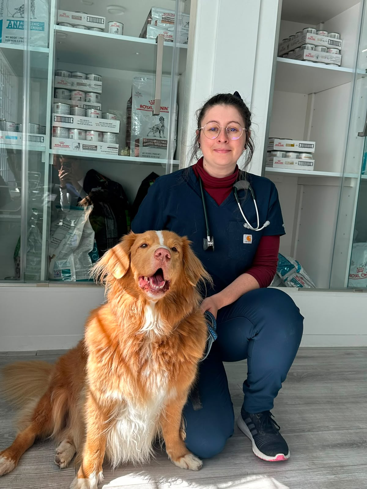 Team member with a smiling retriever at Vic West Pet Hospital