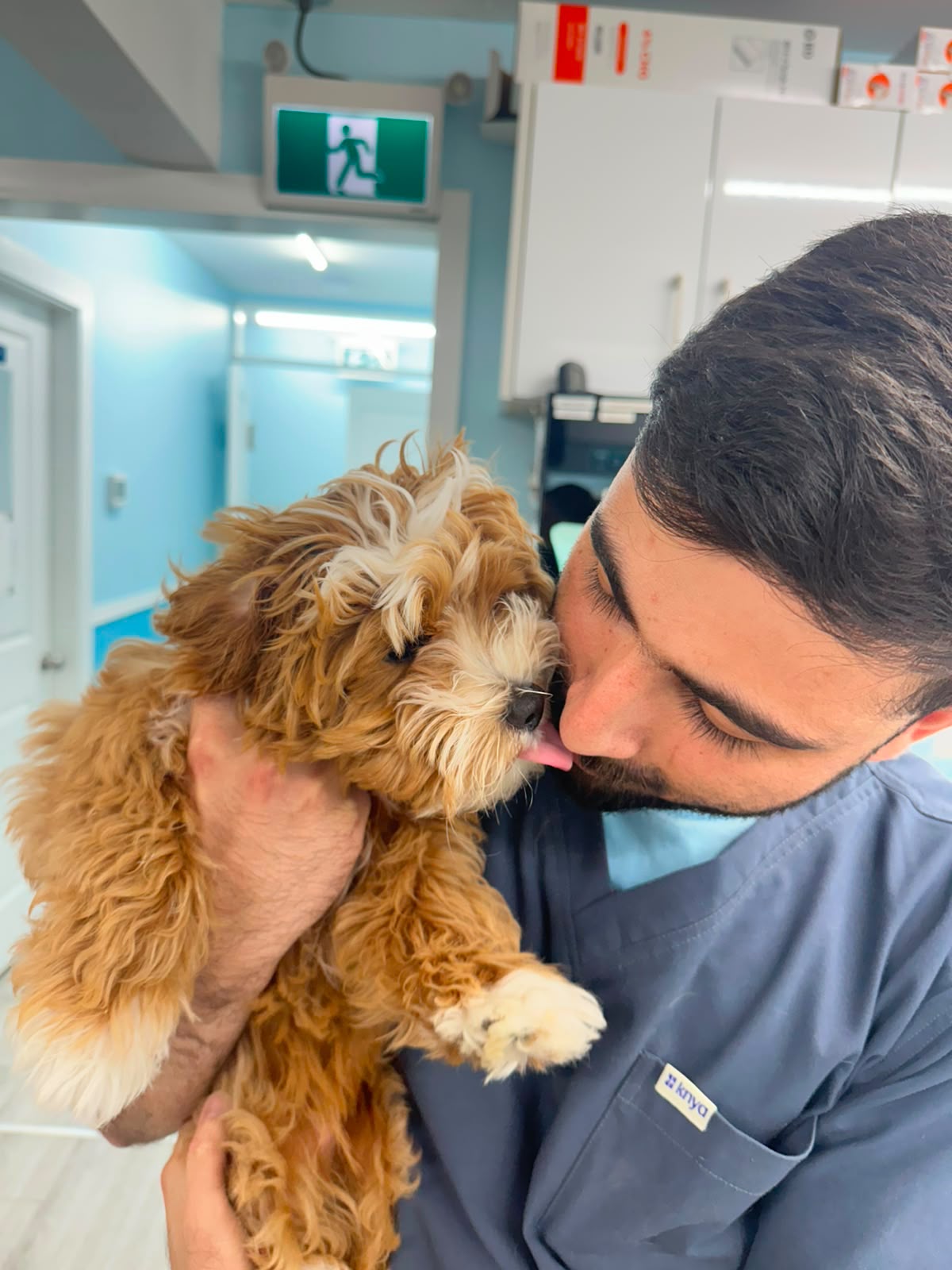 Team member cuddling a fluffy puppy at Vic West Pet Hospital