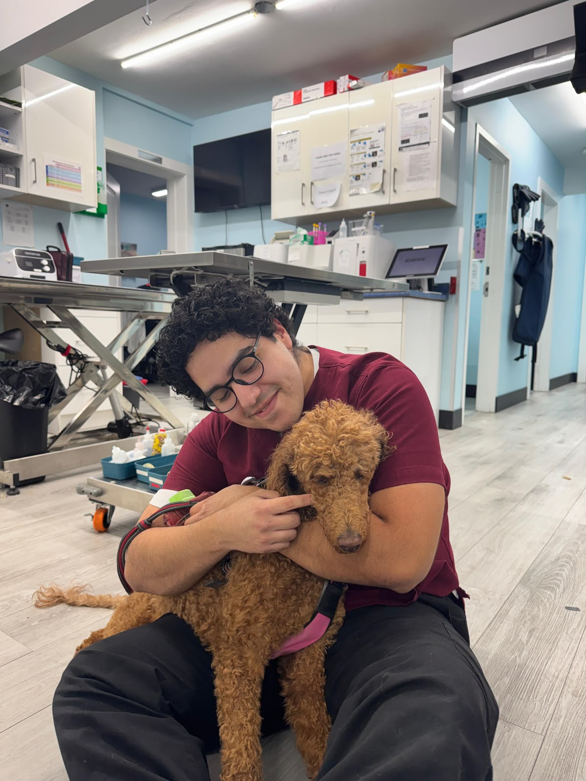 Team member cuddling a curly-coated dog in the treatment area at Vic West Pet Hospital