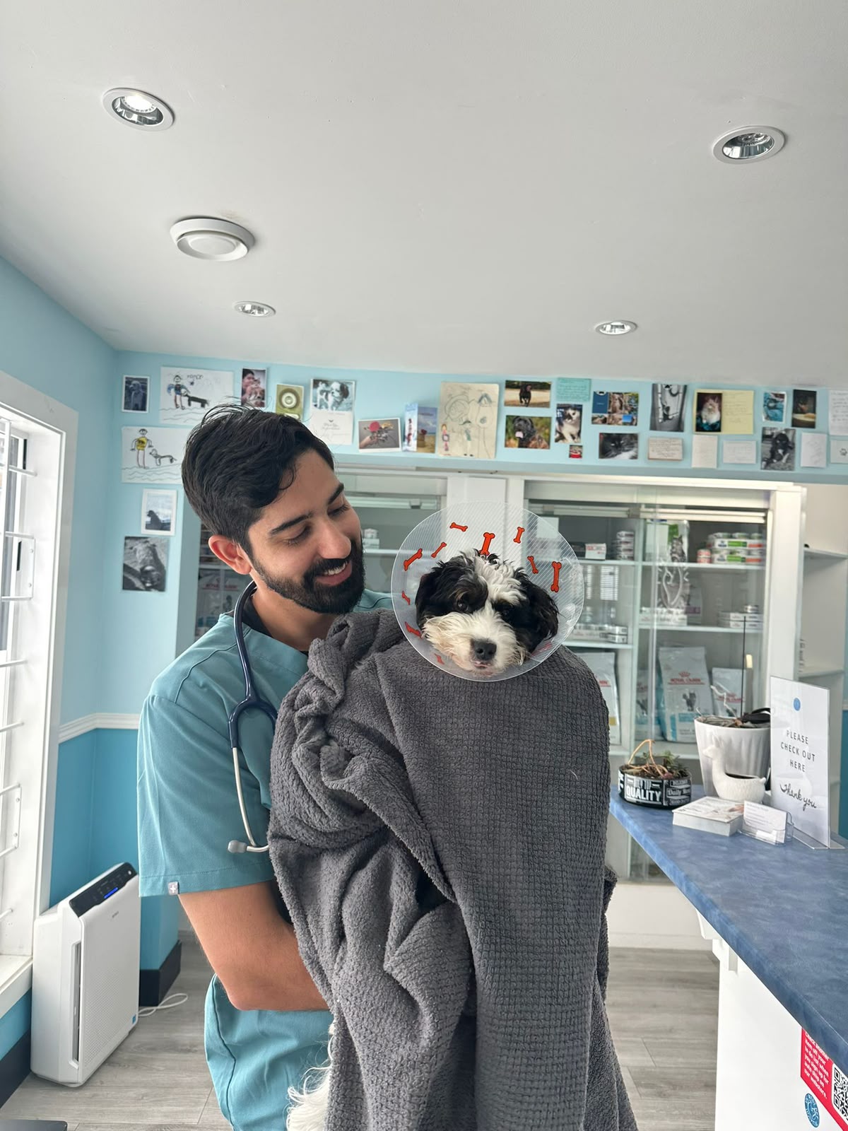 Veterinarian holding a small dog wrapped in a towel at Vic West Pet Hospital