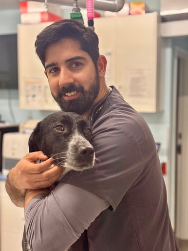 Vic West Pet Hospital team member holding a black and white cat