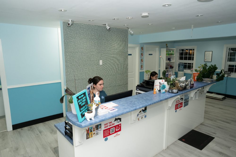 Client check-in counter at Vic West Pet Hospital in Victoria BC