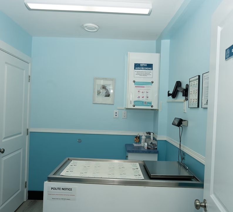 Examination room at Vic West Pet Hospital in Victoria BC with exam table and wall-mounted instruments