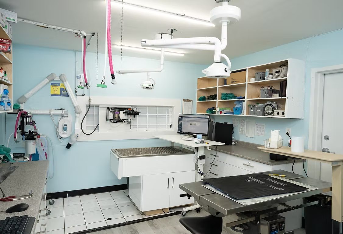 Surgery preparation and treatment area at Vic West Pet Hospital in Victoria BC with stainless steel table and monitoring equipment