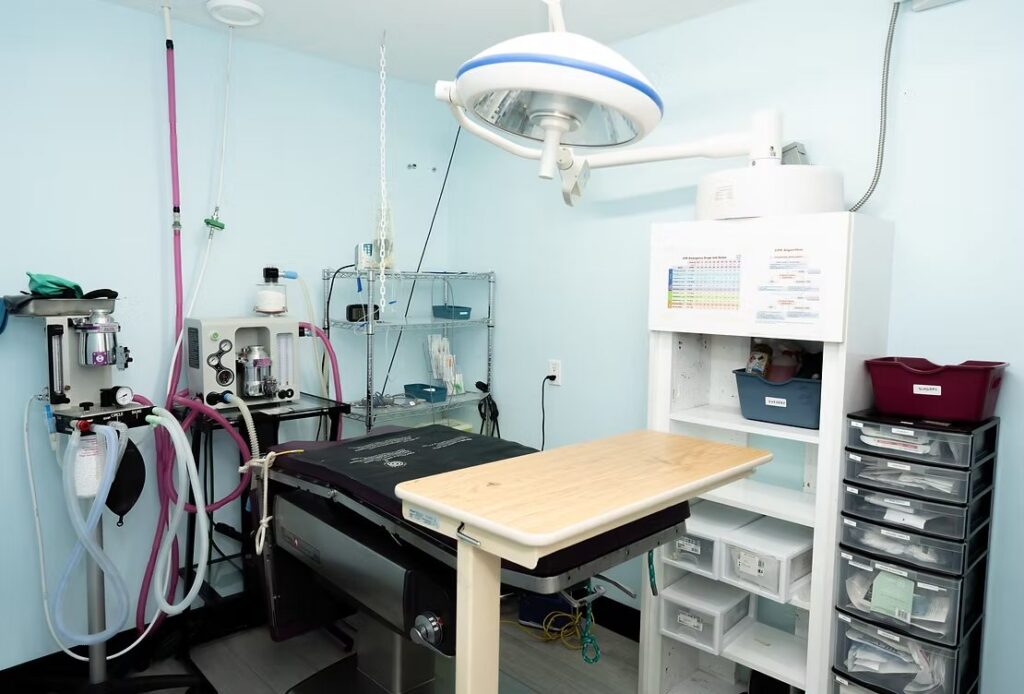 Surgical suite at Vic West Pet Hospital in Victoria BC with surgery table, overhead surgical light and monitoring equipment