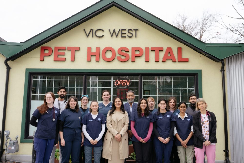 The Vic West Pet Hospital team outside the clinic on Esquimalt Road in Victoria BC