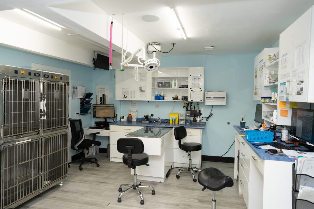 Treatment and in-house laboratory area at Vic West Pet Hospital in Victoria BC