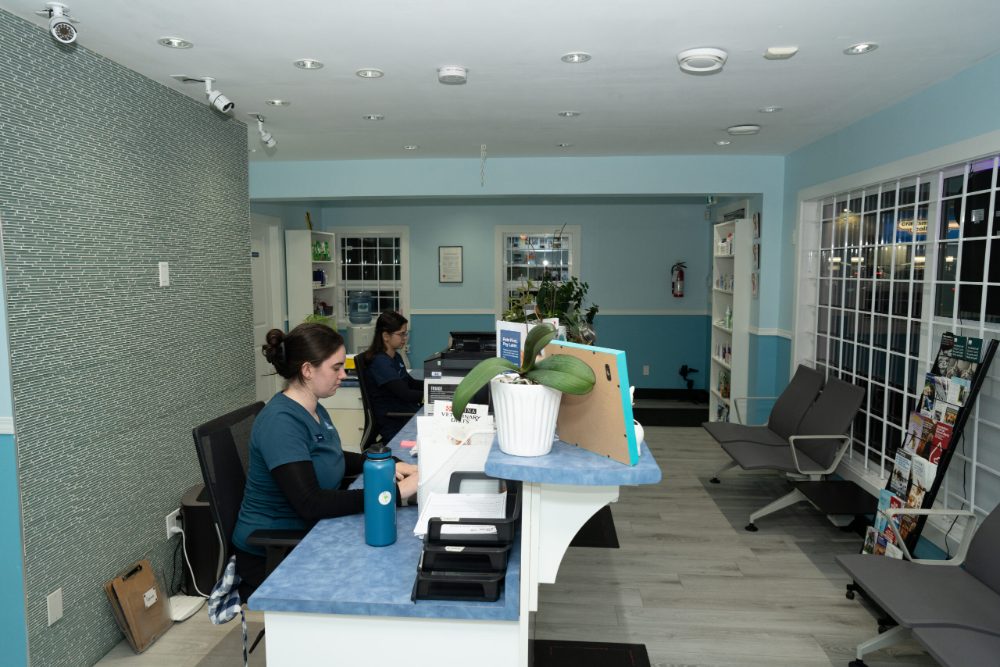 Waiting area and reception at Vic West Pet Hospital in Victoria BC