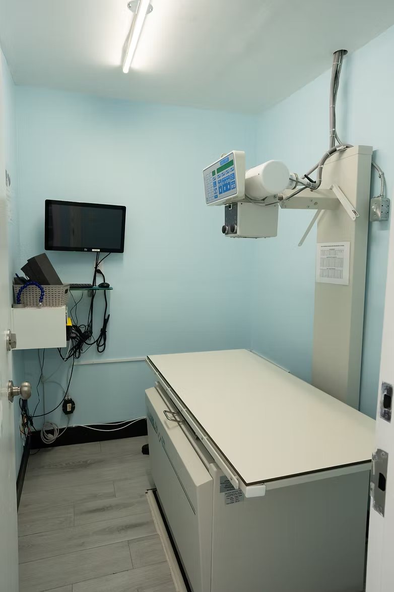 Digital X-ray room at Vic West Pet Hospital in Victoria BC with radiography table and wall-mounted imaging arm