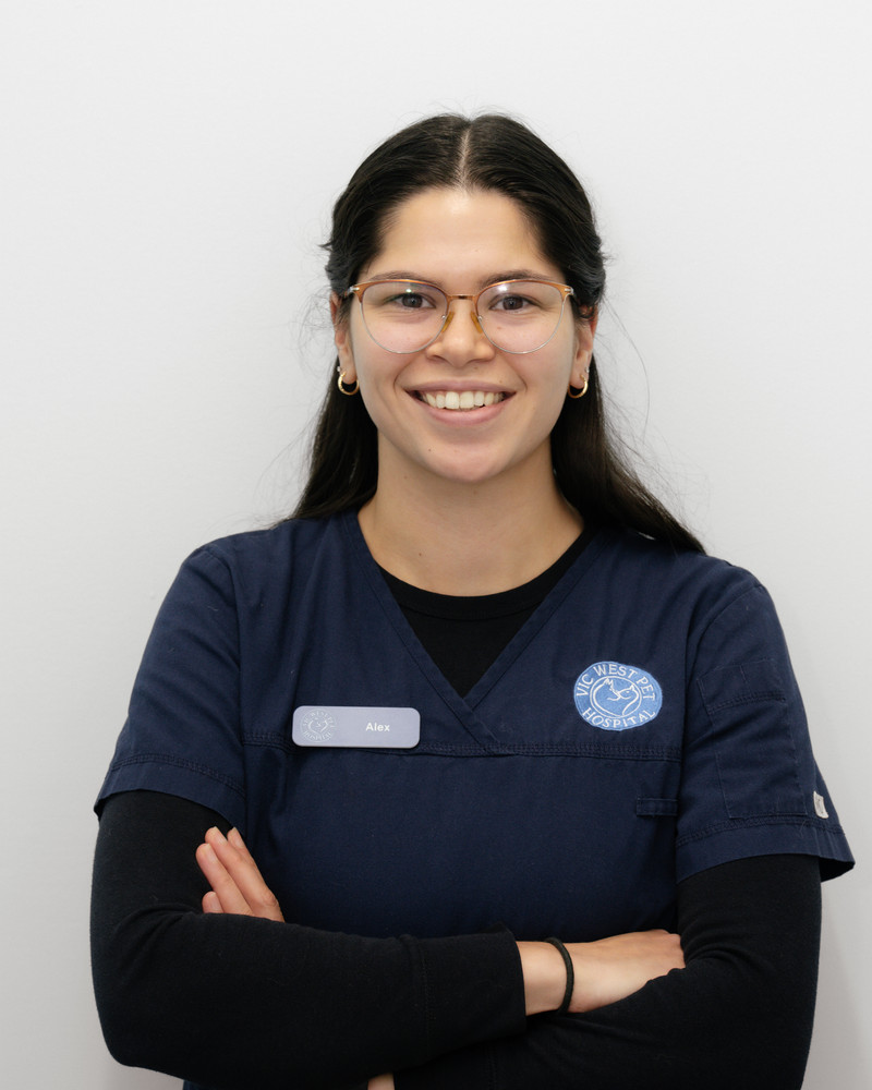 Alex Cyr, Veterinary Assistant at Vic West Pet Hospital in Victoria, BC